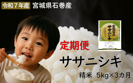 毎月定期便 ササニシキ精米5kg 令和7年度産 全3回
