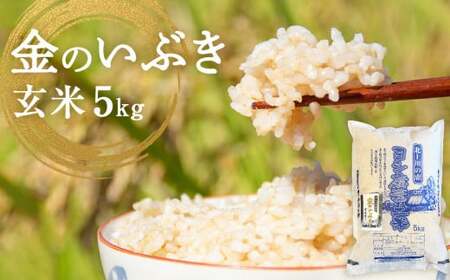 令和7年産 金のいぶき(玄米)5kg 防災減災