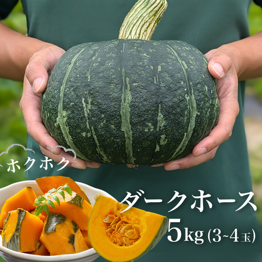 石巻伝承野菜 かぼちゃ ダークホース 5キロ 3〜4玉 カボチャ 南瓜 野菜 石巻産 国産 甘い 濃厚 おかず スープ 宮城県 宮城 石巻市 石巻