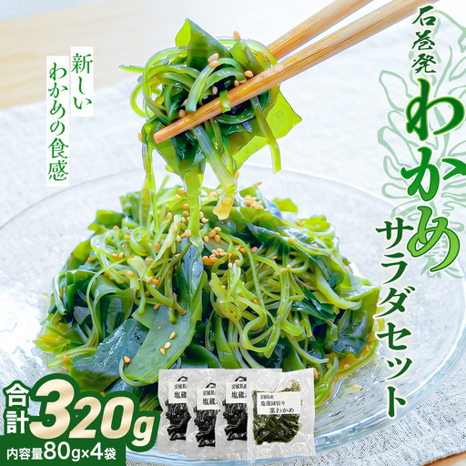 石巻発 わかめサラダセット 塩蔵わかめ 茎わかめ わかめ ワカメ 海藻 塩蔵 セット 宮城県産 国産 サラダ 味噌汁 冷蔵 宮城県 宮城 石巻市 石巻
