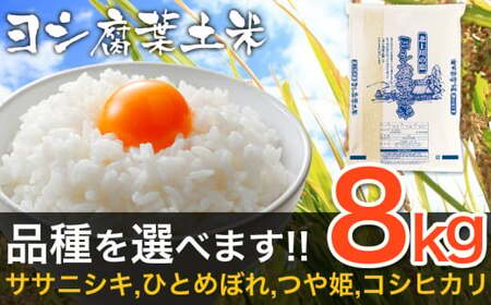 【新米予約】令和6年産 ヨシ腐葉土米 つや姫 精米8kg（4kg×2袋）宮城県産 つや姫 精米 つや姫 石巻産 つや姫