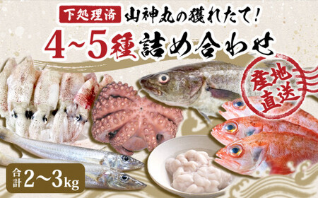 宮城県産 漁師直送! 鮮魚詰め合わせ 小 2〜3kg(4〜5種)鮮魚ボックス