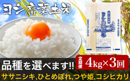 令和5年産[定期便]ヨシ腐葉土米 精米12kg(4kg×3回発送)ササニシキ