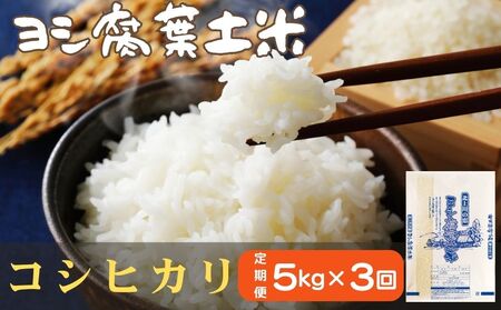 令和6年産[定期便]ヨシ腐葉土米 精米15kg(5kg×3回発送)コシヒカリ