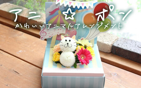 アニ☆ポン(ネコ) 花 生花 花束 動物 ネコ 可愛い ギフト プレゼント 母の日