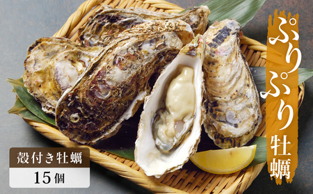 殻付き牡蠣 15個 生食用 牡蠣 カキ 殻付き 冷蔵 宮城 かき 海鮮 魚介 貝類 海の幸 海産物 魚介類 家庭用 宮城県 石巻市