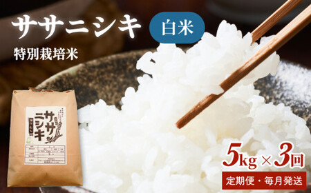 ʍ͔| TTjVL 15kgy5kg S3z