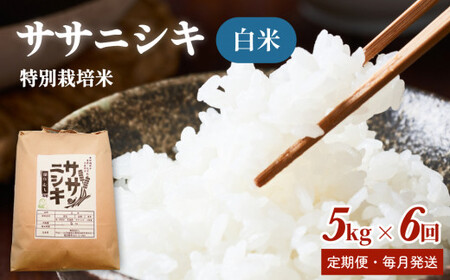 ʍ͔| TTjVL 30kgy5kg S6z