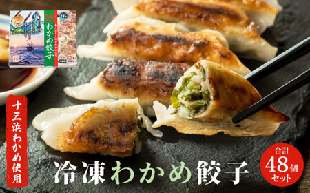 わかめ餃子 48個セット