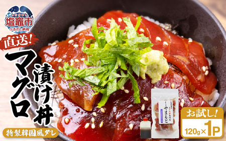 [直送マグロ使用]お試し まぐろパック 特製韓国風タレ付き 120g×1パック 塩竈市 塩釜 TUNA まぐろ屋やまもと | tu00002-1s