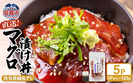 [直送マグロ使用]まぐろパック 特製韓国風タレ付き 120g×5パック 塩竈市 塩釜 TUNA まぐろ屋やまもと | tu00002-5s