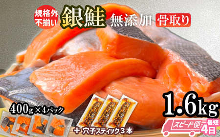 訳あり 鮭 無添加 銀鮭 切り落とし 1.6kg (穴子スティック3本付き) 塩竈市 三晃食品