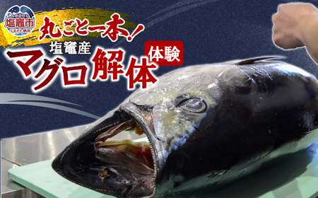塩竈産マグロ解体体験!丸ごと1本食べつくそう! | gt00001 塩竈市 塩竈