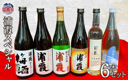飲み比べ セット ( 焼酎 日本酒 梅酒 甘酒 原酒 山田錦 純米大吟醸 ) 浦霞スペシャル (6本セット) 宮城県 塩竈市 熊久商店 日本酒