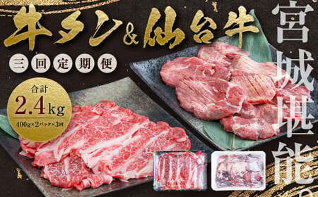yցESRAz̋{錧\Zbg̒ 800g^v2.4kg@y04203-0622z