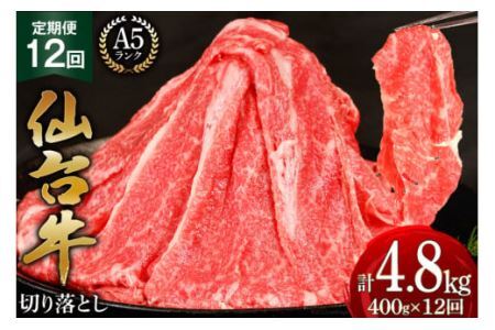 12   䋍 A5 ؂藎Ƃ 400g×12 v4.8kg [CsYU {錧 Cs 20565326]  a јa Ⓚ 12