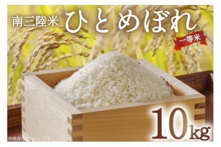  CY O ЂƂ߂ڂ 10kg [CsYU {錧 Cs 20565808]