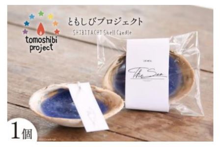気仙沼の海をイメージしたキャンドル SHIBITACHI Shell Candle 1個 [Nr.12（ともしびプロジェクト） 宮城県 気仙沼市 20563588] キャンドル 可愛い かわいい カワイイ