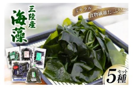 三陸産 海藻 5種セット ( わかめ 茎わかめ ひじき ふのり 昆布 ) [さんりくみらい 宮城県 気仙沼市 20563536] 三陸わかめ レビューキャンペーン 感想