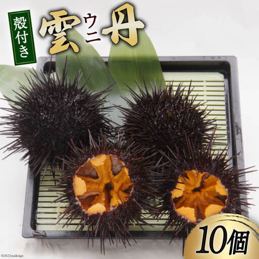 【期間限定発送】 三陸産 ウニ 殻付き 10個 [さんりくみらい 宮城県 気仙沼市 20564808]