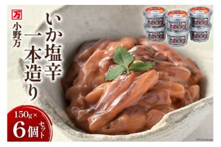 h{ 150g 6Zbg [얜 {錧 Cs 20564612]    CJ h CJh ̍ ܂ т̂ 