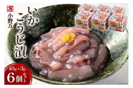 いかこうじ漬 40g×3P 6個セット [小野万 宮城県 気仙沼市 20564599] 魚 魚介類 いか イカ 冷蔵 酒の肴 おつまみ ご飯のお供 珍味 麹漬け こうじ漬け