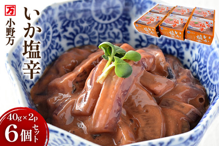 h 40g×2P 6Zbg [얜 {錧 Cs 20565719]