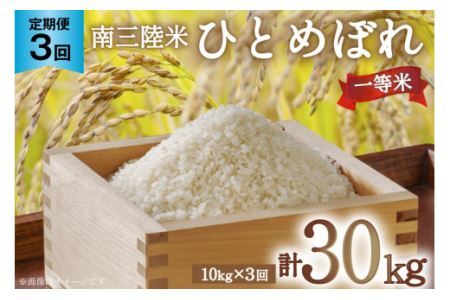 3   CY O ЂƂ߂ڂ 10kg v30kg [CsYU {錧 Cs 20565809]