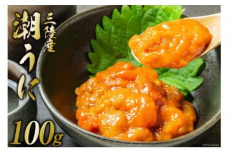 三陸産 潮うに 100g [大菊 宮城県 気仙沼市 20563727] ウニ 雲丹 うに ミョウバン不使用 塩うに 塩ウニ 粒うに キタムラサキウニ 冷凍 パック 塩分控えめ レビューキャンペーン 感想