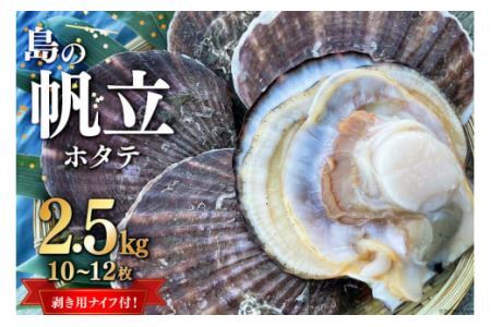 yԌ蔭z̔ 2.5kg (10~12) z^epiCtt [JlLY {錧 Cs 20564054]