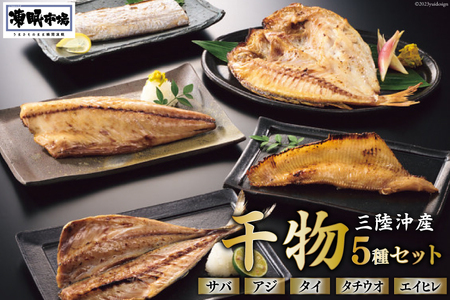 日本贈りめし×凍眠市場 三陸産干物 5種セット 計900g(さば 300g アジ 150g タイ 150g タチウオ 200g エイヒレ 100g) [シャディ 宮城県 気仙沼市 20564031] 干物 魚 魚介 冷凍 レビューキャンペーン 感想