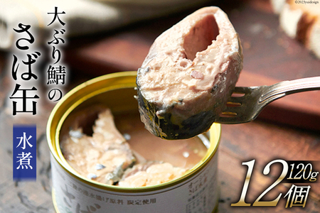 大ぶり鯖のさば缶 12缶セット 水煮 [モンマルシェ 宮城県 気仙沼市 20564038] 保存食 さば缶 サバ 鯖 缶詰 缶詰め さば味噌煮 サバ味噌煮 簡単調理 三陸 レビューキャンペーン 感想