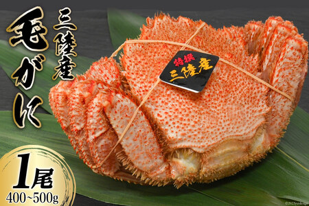 三陸産 毛蟹 総重量400～500g （正味重量 300?400g）1尾 濃厚かに味噌  [かわむら家 宮城県 気仙沼市 20562139] 国産 かに カニ 蟹 毛ガニ 毛がに 毛蟹 三陸 三陸毛ガニ 三陸毛がに 三陸毛蟹 ボイル 冷凍 かにみそ カニ味噌 海鮮 海産物 魚介類 甲殻類