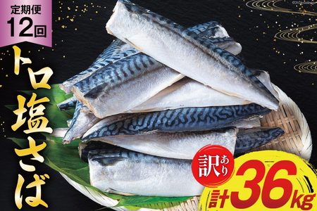 12回 定期便 訳あり 塩サバ フィレ 3kg 総計36kg [足利本店 宮城県 気仙沼市 20564960] 魚介類 魚 サバ サバフィレ さば 鯖 サバフィーレ 鯖フィレ 切り身 冷凍 訳アリ 訳ありサバ 大容量 わけあり トロ