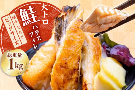 訳あり 大トロ サーモン トロ ハラス フィレ 加熱用 甘塩味 総重量1kg 3-7枚入 [足利本店 宮城県 気仙沼市 20565053] 魚介類 海鮮 さけ サケ シャケ 鮭 お刺し身 刺し身 はらす 鮭ハラス 個包装 魚 魚介 小分け 生食用 真空パック 食品 トロサーモン ステーキ 無添加