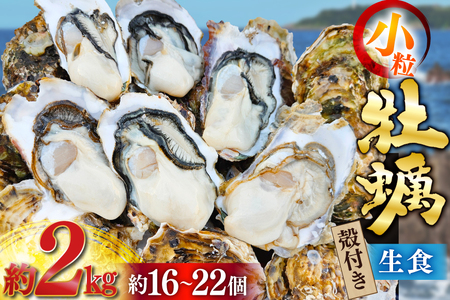 [期間限定発送] 牡蠣 小粒 1〜1年半モノ 生食 殻付き牡蠣 約2kg (約16〜22個入) [住喜水産 宮城県 気仙沼市 20565055] 冷蔵 新鮮 濃厚 真牡蠣 カキ かき 生牡蠣 魚貝類 貝 海鮮 魚介類 なべ カキフライ ご飯 魚介