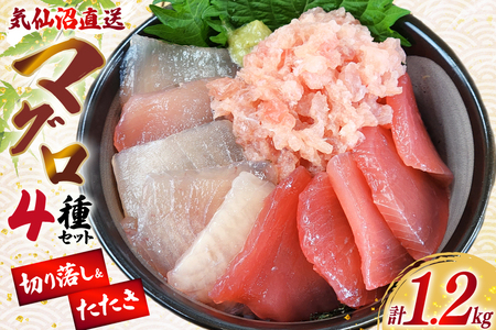 ܂ C }O ؂藎 4i Zbg v1.2kg [kY {錧 Cs 20565058]   N hg hg  Ⓚ  CN   