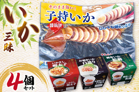 いか 詰め合わせ いか三昧 4種 セット [北興物産 宮城県 気仙沼市 20565108] イカ イカ刺し 明太子 刺し身 刺身 松前 いか松前 醤油漬け 珍味