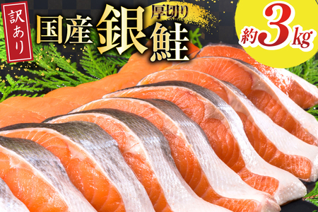 訳あり 国産 減塩 厚切り 塩銀鮭 切身 計 3kg [足利本店 宮城県 気仙沼市 20565398] サーモン 鮭 さけ サケ シャケ 魚 海鮮 魚介 甘塩味 規格外 不揃い 鮭切身 切り身 簡易包装 家庭用 訳アリ 冷凍 塩分控えめ 無添加