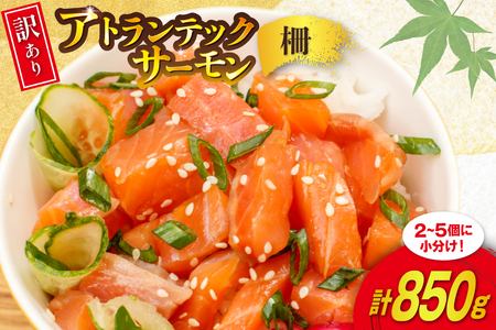 訳あり ノルウェー産 アトランティック サーモン 尾っぽ 850g 柵 おさしみ用 無添加 個包装 [足利本店 宮城県 気仙沼市 20565613] 鮭 さけ サケ サーモン 生食用 おつまみ おかず 冷凍 鮮魚 小分け アトランティック アトランサーモン