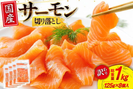 訳あり 国産 サーモン 切り落し おさしみ用 125g×8p 計1kg 個包装 [足利本店 宮城県 気仙沼市 20565636] 訳アリ 無添加 真空パック 鮭 銀鮭 冷凍 生食用 刺身 鮭 お刺し身 刺し身 国産銀鮭 海鮮 海鮮丼 魚介 魚 さけ 小分け 冷凍 鮮魚 訳アリ わけあり