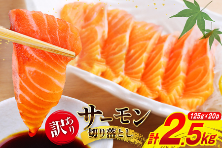 󂠂 Y T[ ؂藎Ƃ ݗp v2.5kg 125g×20p [{X {錧 Cs 20565698]      hg hg hg  `  CN CN 