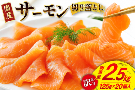 󂠂 Y T[ ؂藎 ݗp 125g×20p v2.5kg  [{X {錧 Cs 20565699] A Y ^pbN   Ⓚ Hp hg  hg hg Y CN