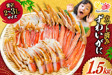 Jbg  킢 ނg Zbg d 1.5kg (d1.2kg) 2-3LTCY [Jl_C {錧 Cs 20565690]  Jj YCKj 킢 YC I _ |[V ɓ ɂ