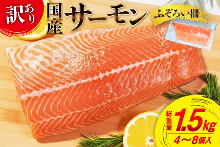 󂠂 Y T[ ۍ ݗp d1.5kg Y [{X {錧 Cs 20565753]