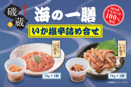 鑠 C̈V  h lߍ킹 6_ Zbg [鑠 {錧 Cs 20565848]