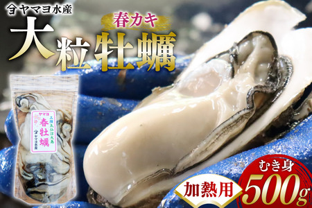 [期間限定発送] ヤマヨ水産の牡蠣 加熱用 500g [5月前半〜出荷] [気仙沼市物産振興協会 宮城県 気仙沼市 20565983]