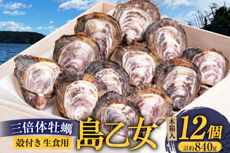 殻付き牡蠣 生食用 三倍体牡蠣 島乙女 約840g 12個入 [カネキ水産 宮城県 気仙沼市 20565985]
