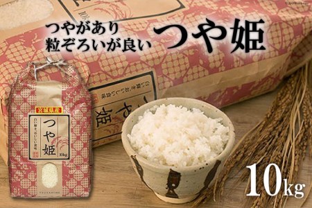 米 宮城産 つや姫 10kg [菊武商店 宮城県 気仙沼市 20563117] お米 精米 白米 ご飯 ごはん こめ コメ