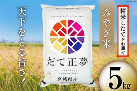 米 宮城県産 だて正夢 5kg [菊武商店 宮城県 気仙沼市 20564852] お米 こめ コメ 白米 精米 ブランド米 ご飯 ごはん 小分け 家庭用 レビューキャンペーン 感想